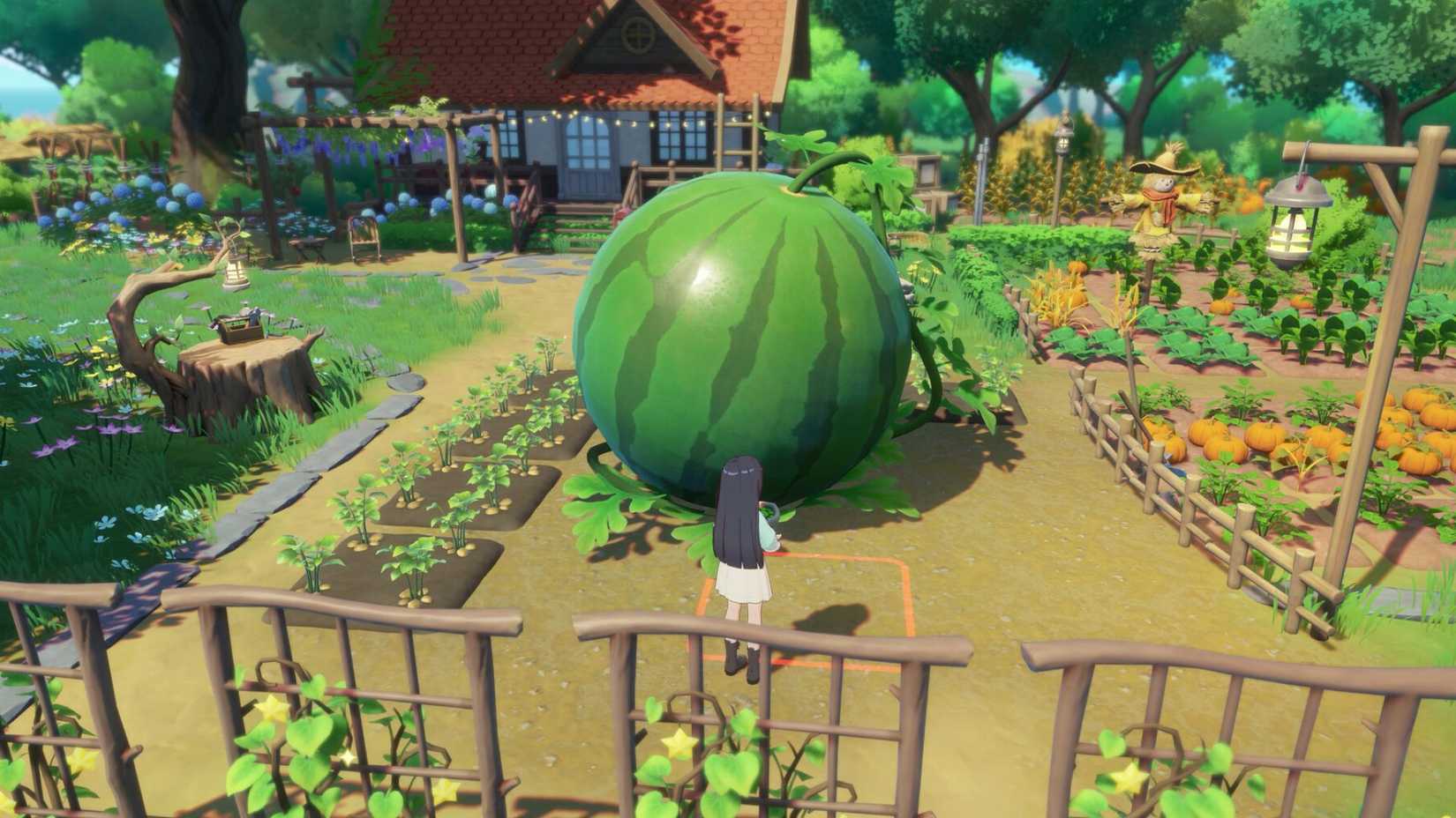 Giant watermelon on Star Sand Island