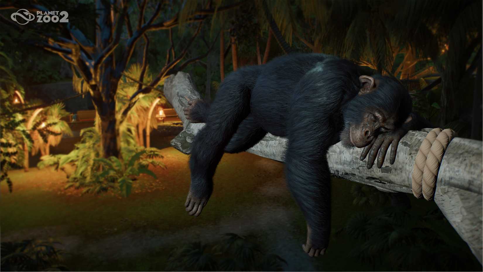 11_PZ2_Announce_Shot03_Western_Chimpanzee_1920x1080_watermark