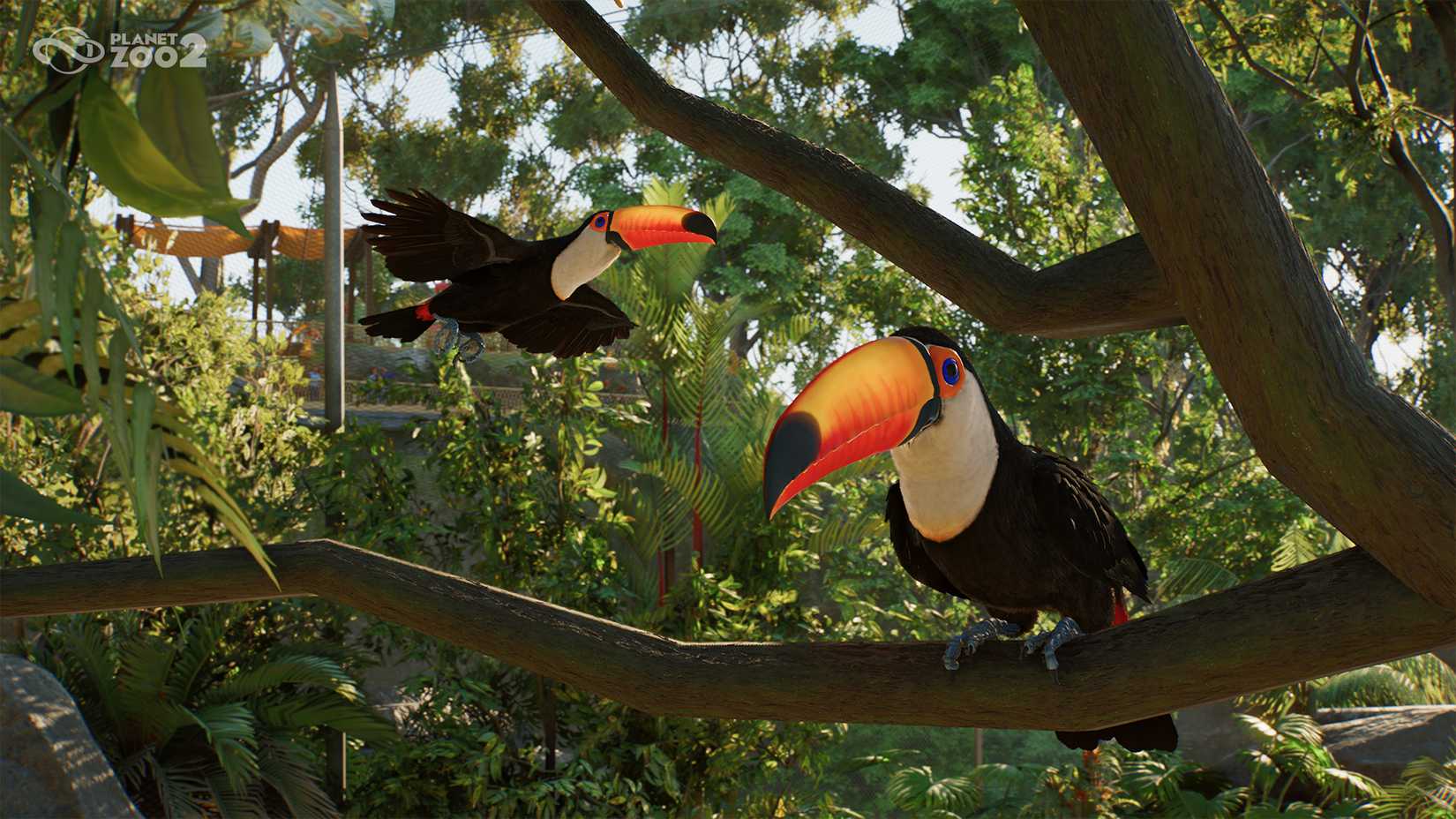 31_PZ2_Announce_Shot07_Toco_Toucan_Beauty_1920x1080_watermark