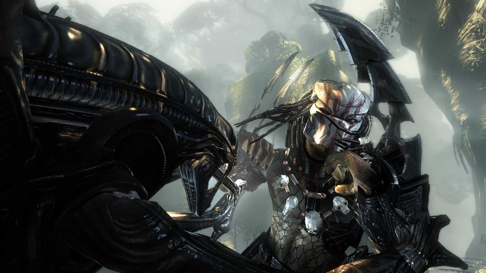 aliens vs predator xenomorph and predator 