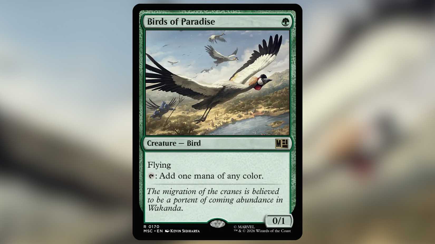 Birds of Paradise