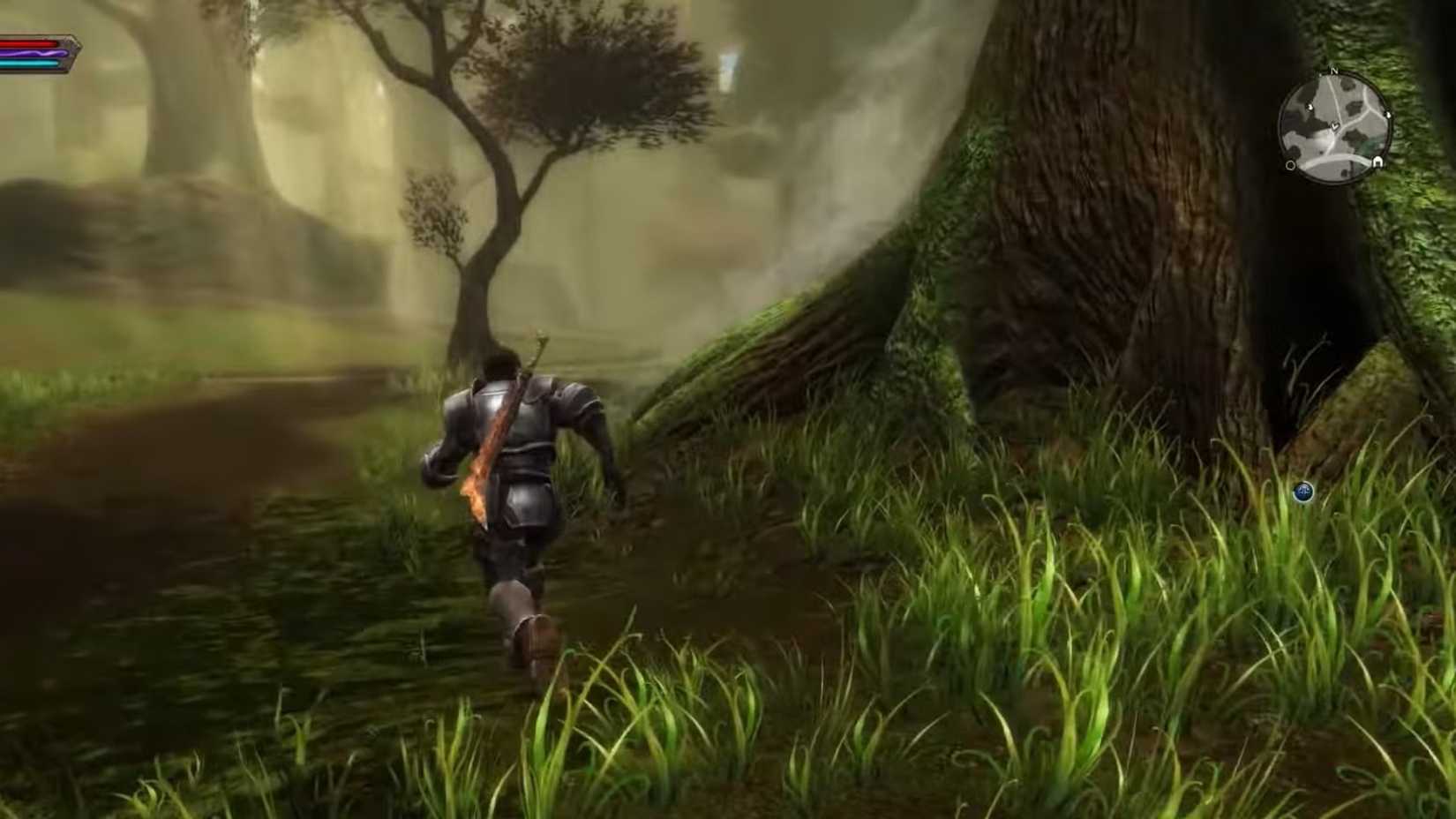 Kingdoms of Amalur Re-Reckoning (1)