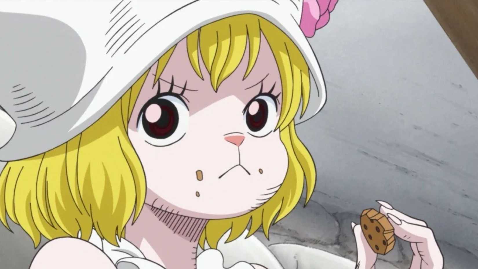 One Piece Carrot