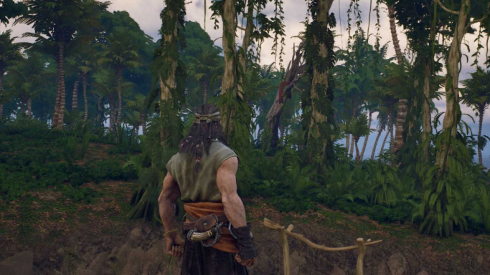 Windrose Player Near Red Flag