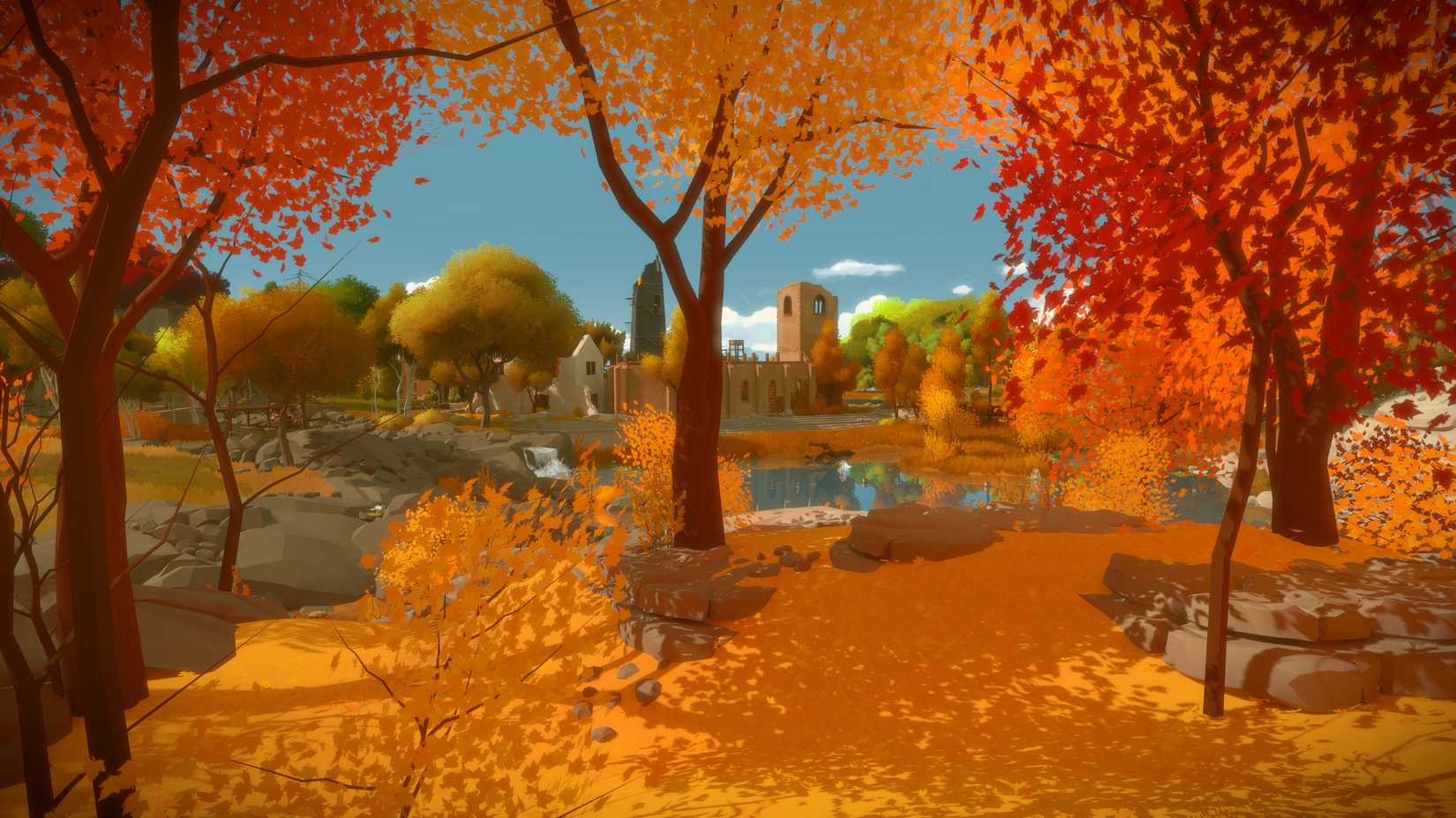 Woods in The Witness