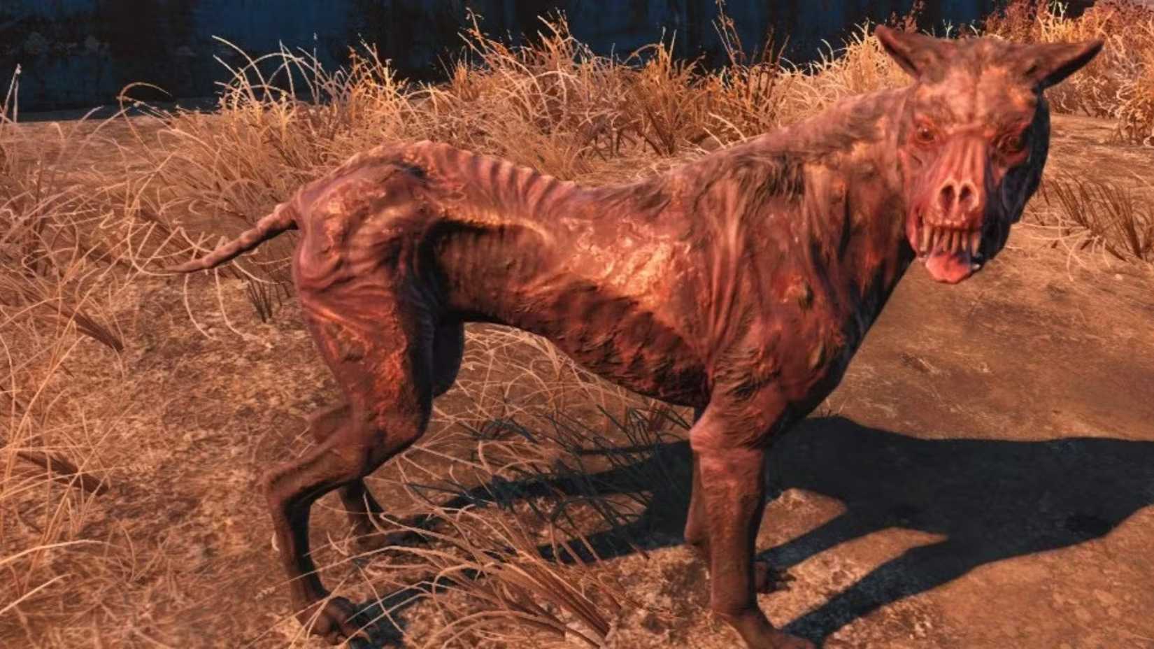 The fall of the injured dog 4