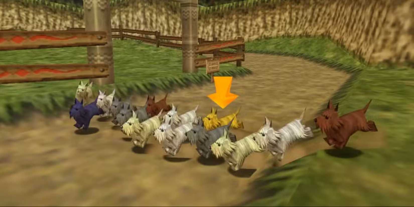 10 Weird Mechanics In Zelda Games We Totally Forgot About Dog Race