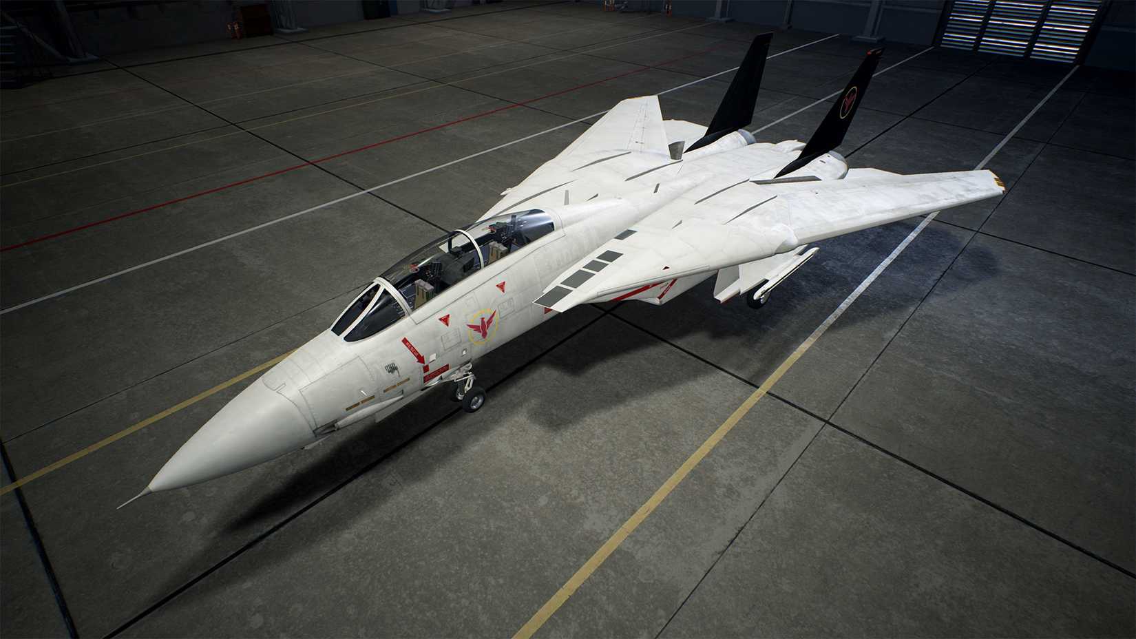 Ace Combat 7 F-14