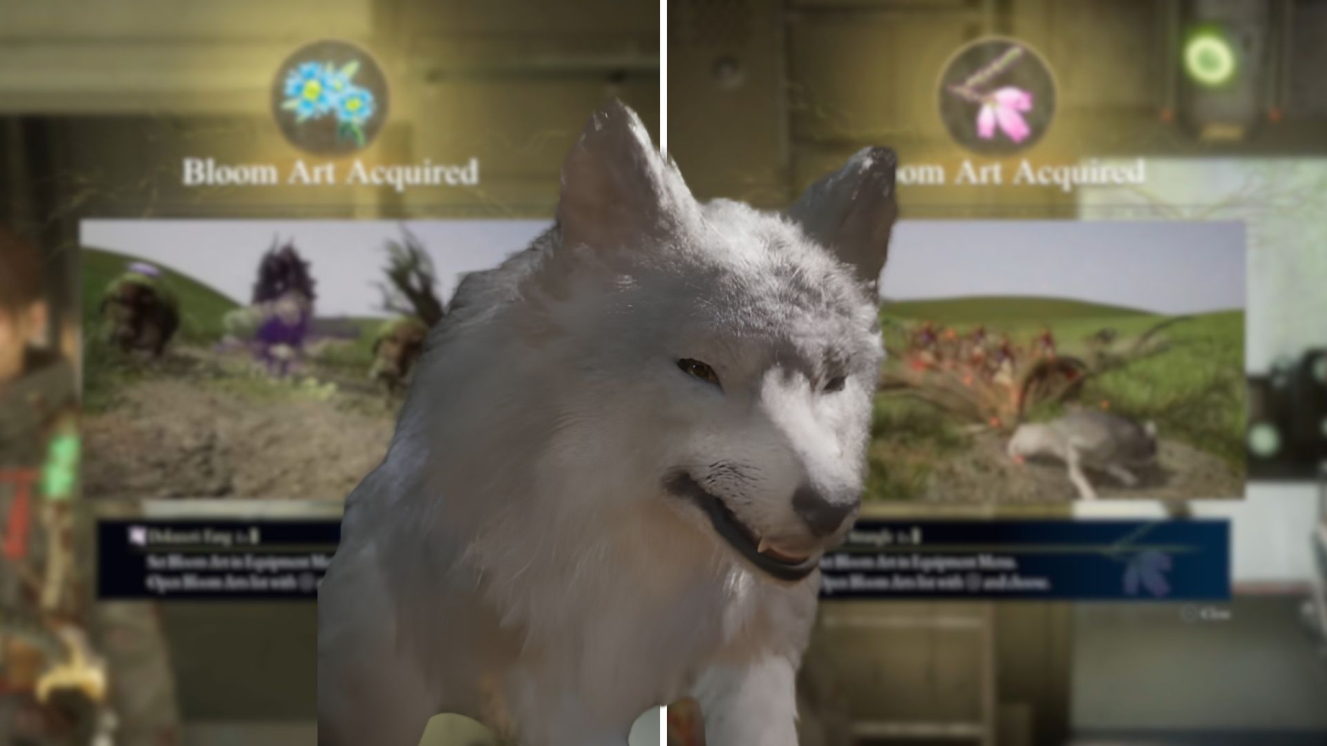 8 Best Bloom Arts in Beast of Reincarnation, Ranked