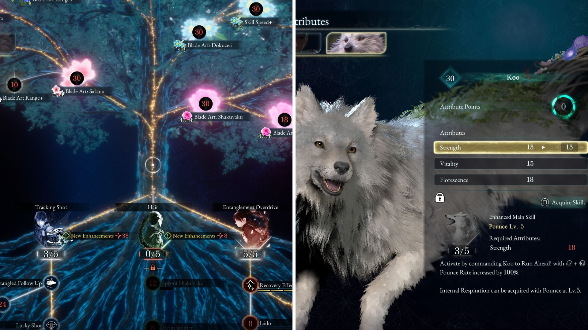 Beast of Reincarnation: Best Skills & Attributes to Upgrade