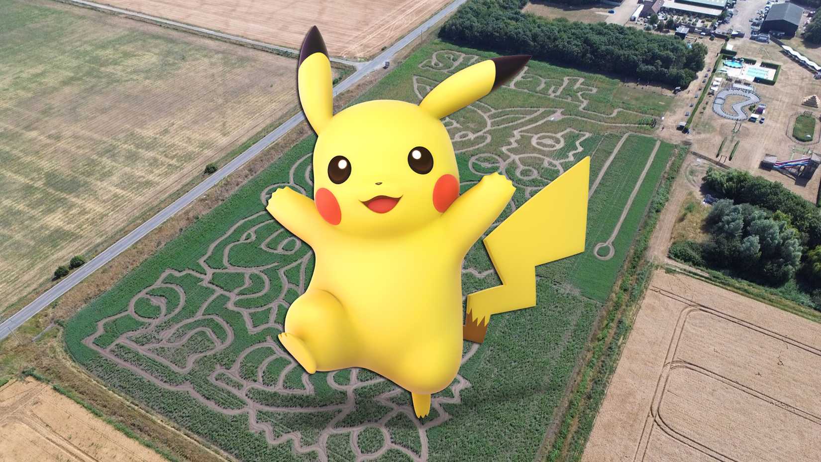 Pikachu Skylark Pokemon Field