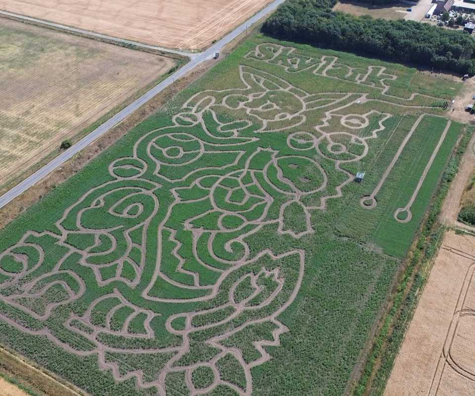 Pokemon 30th anniversary maze pikachu