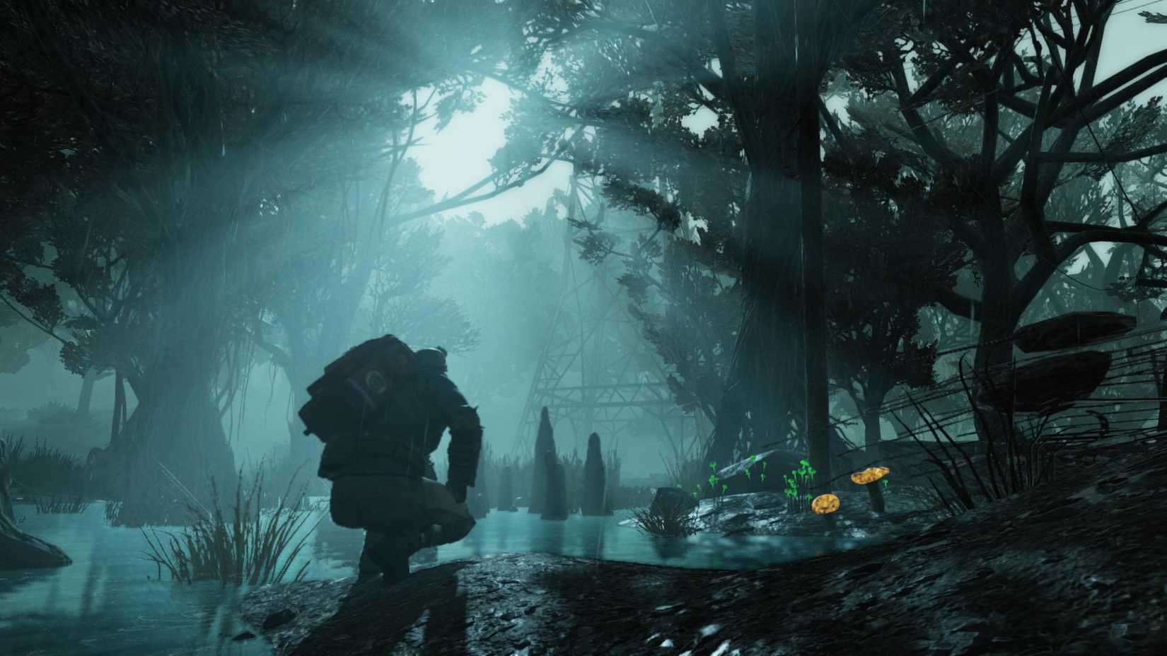 Fallout 76 The Mire forest