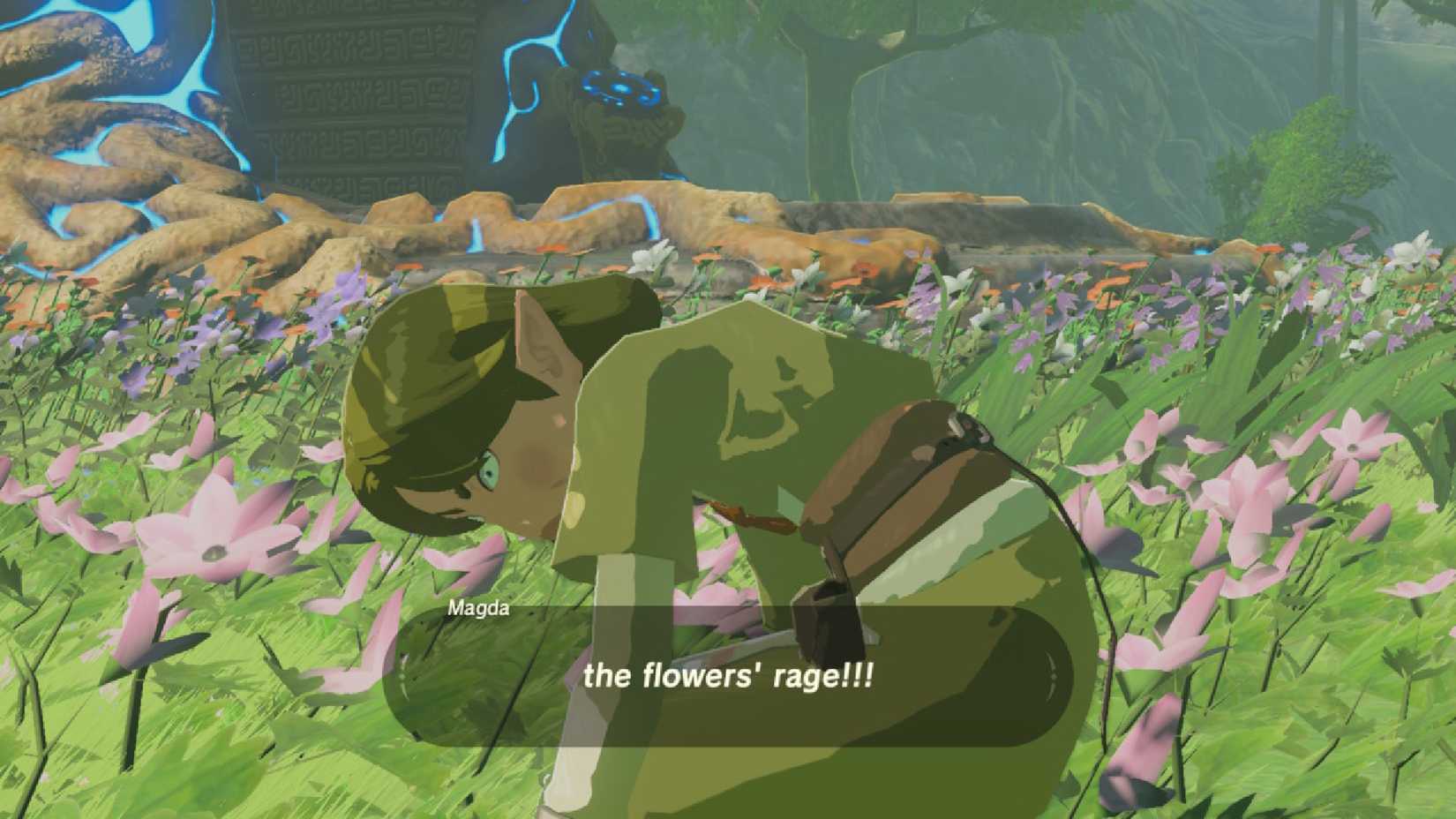 The Legend of Zelda Breath of the Wild Magda