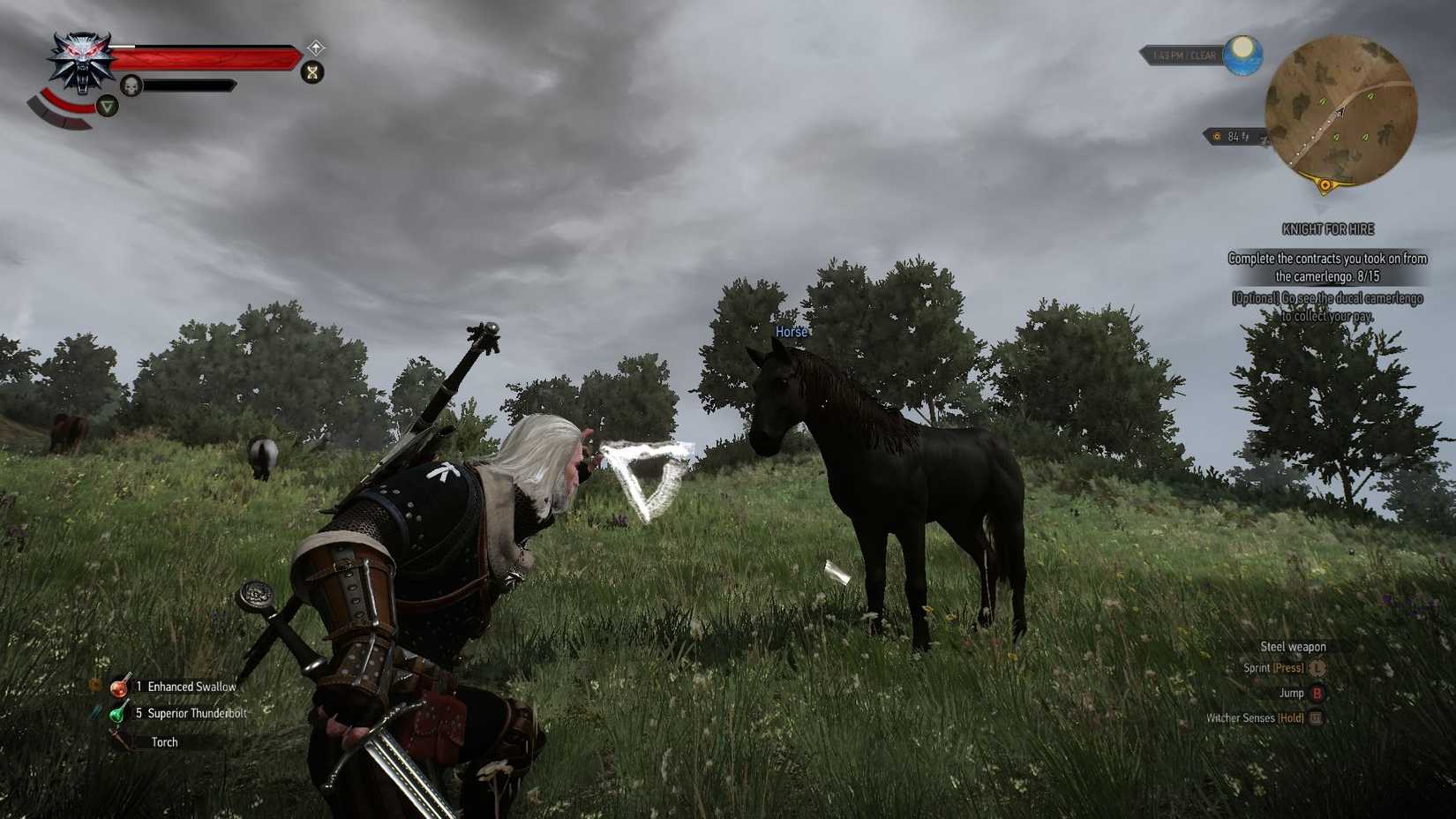 The Witcher 3 Axii
