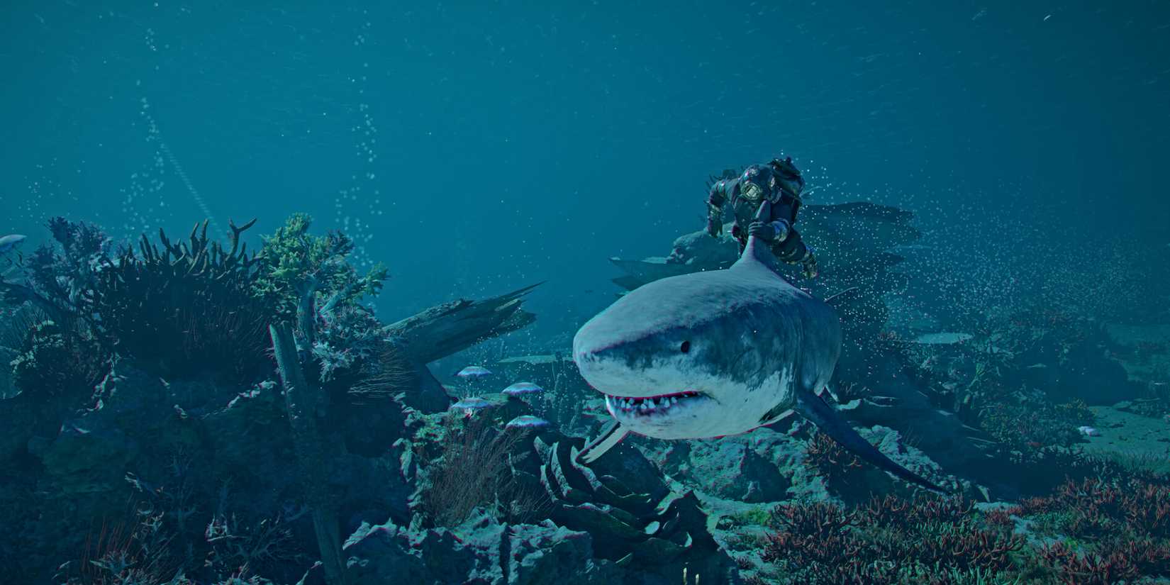 crimson-desert-dlc-shark-swim
