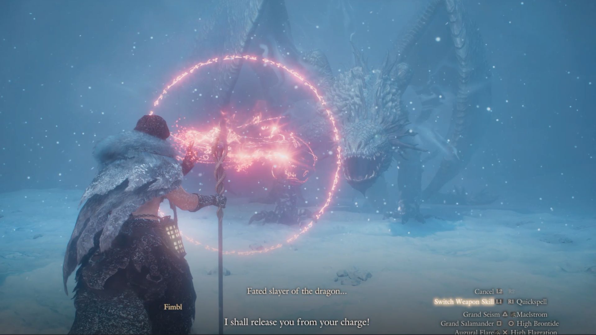 Dragons Dogma 2 Dark Arisen Fimbl