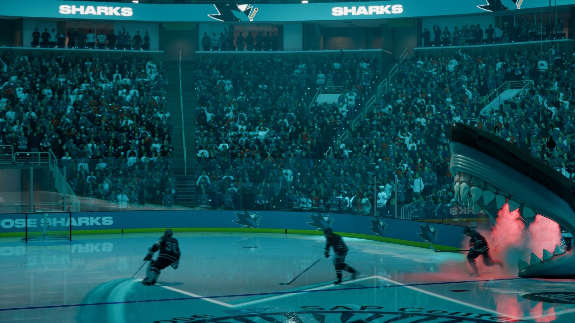 NHL 27 sharks