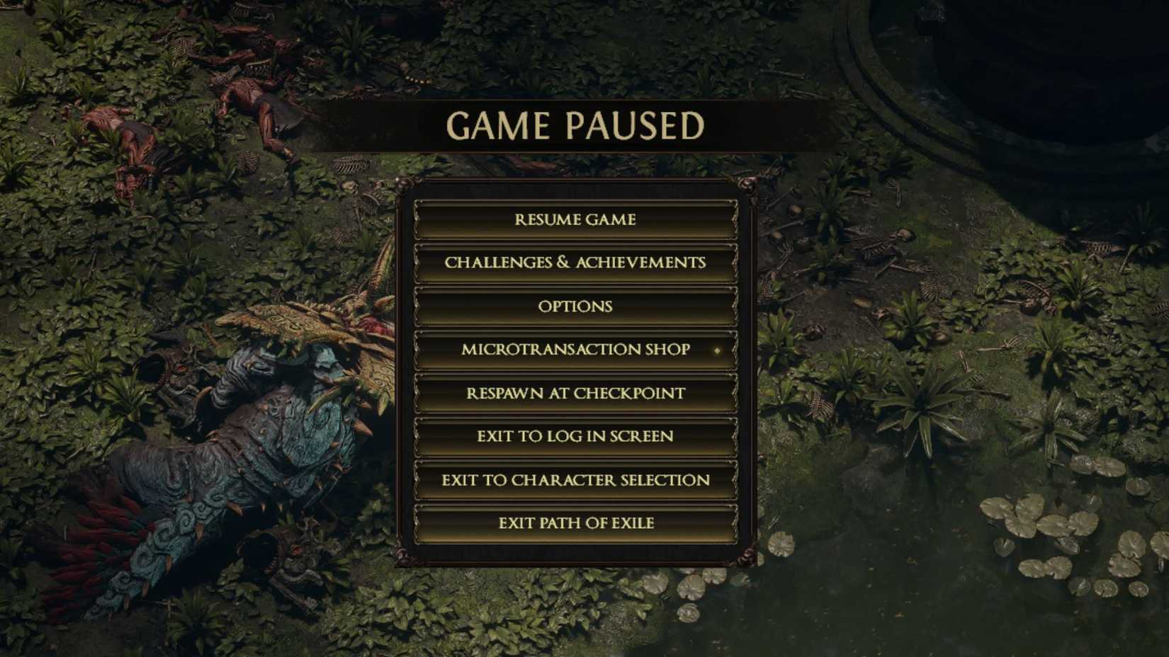 Path of Exile 2 Pause