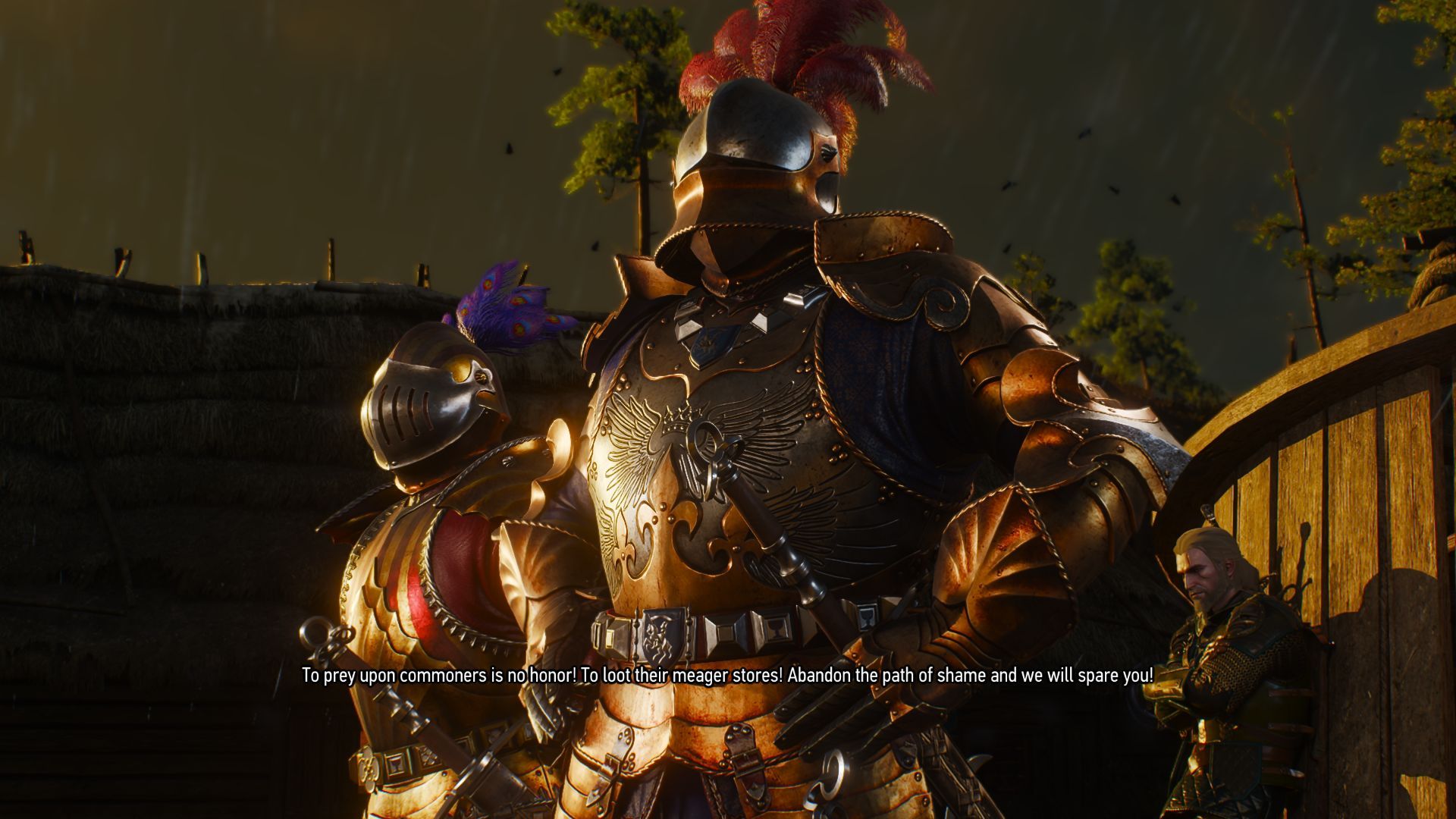 The Witcher 3 Knights