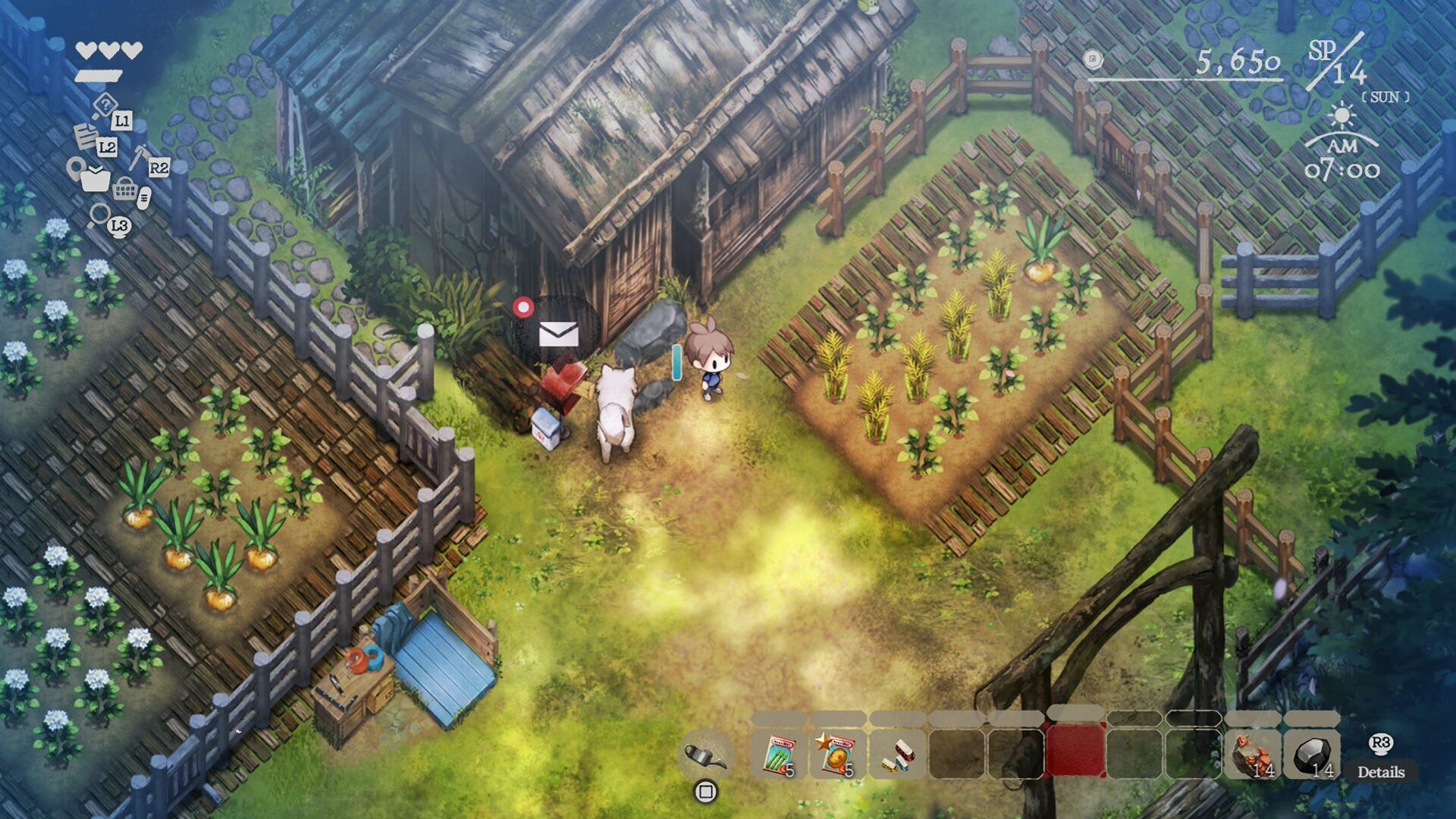 VitSFarm-1