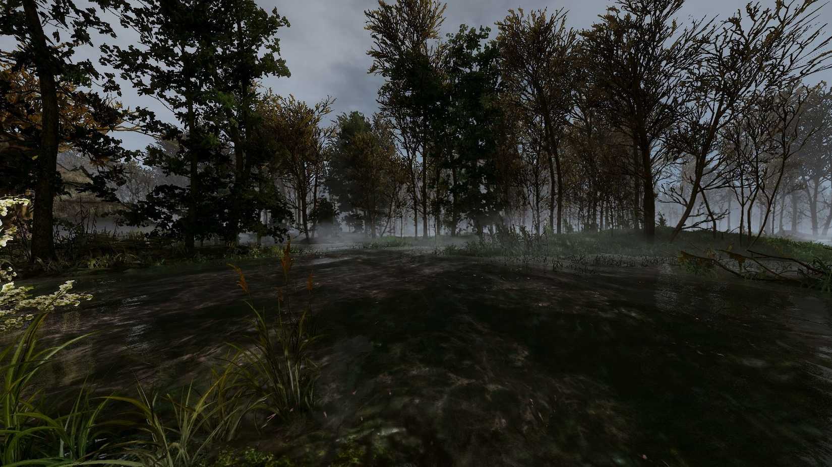 Witcher 3 Swamp