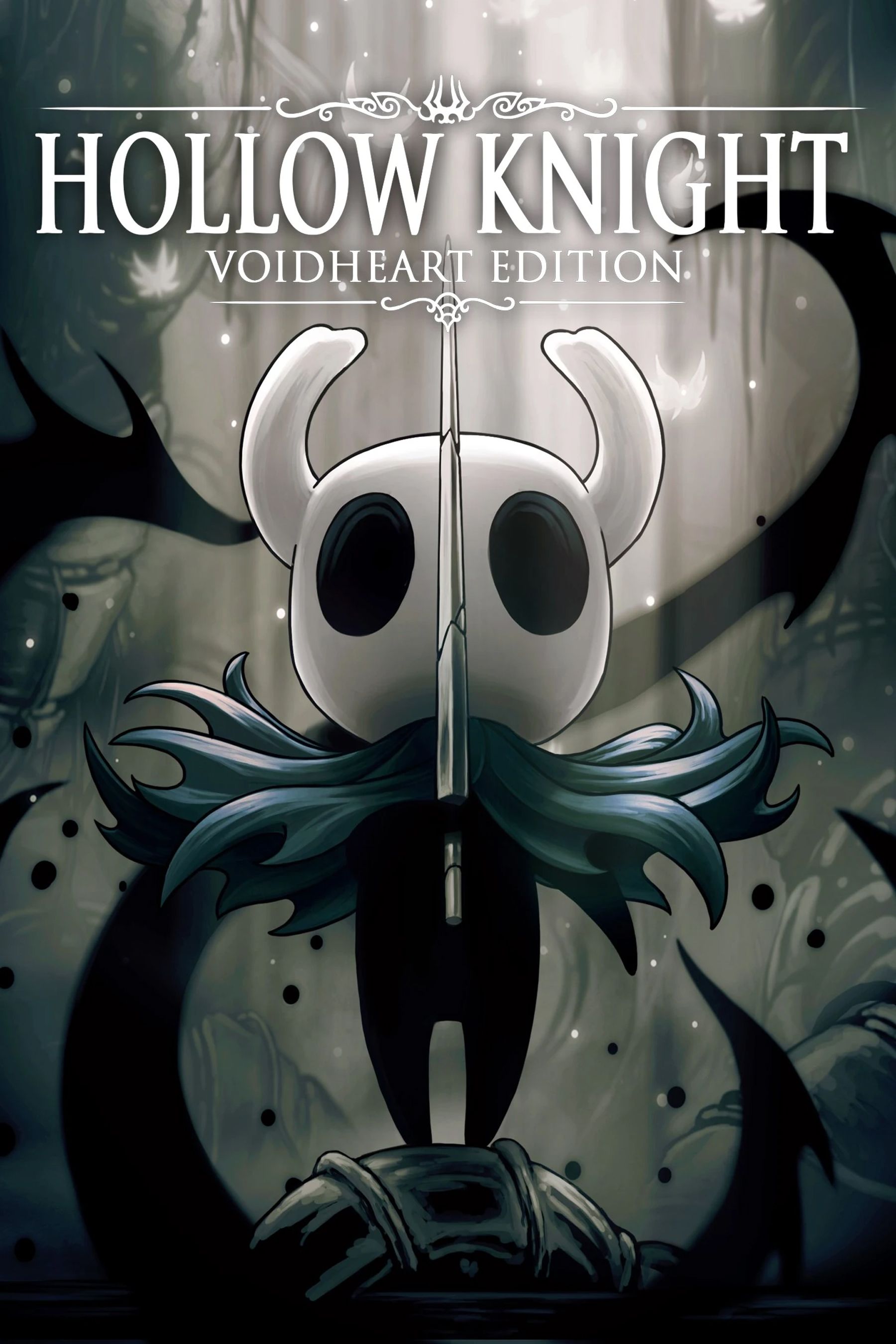 hollow knight