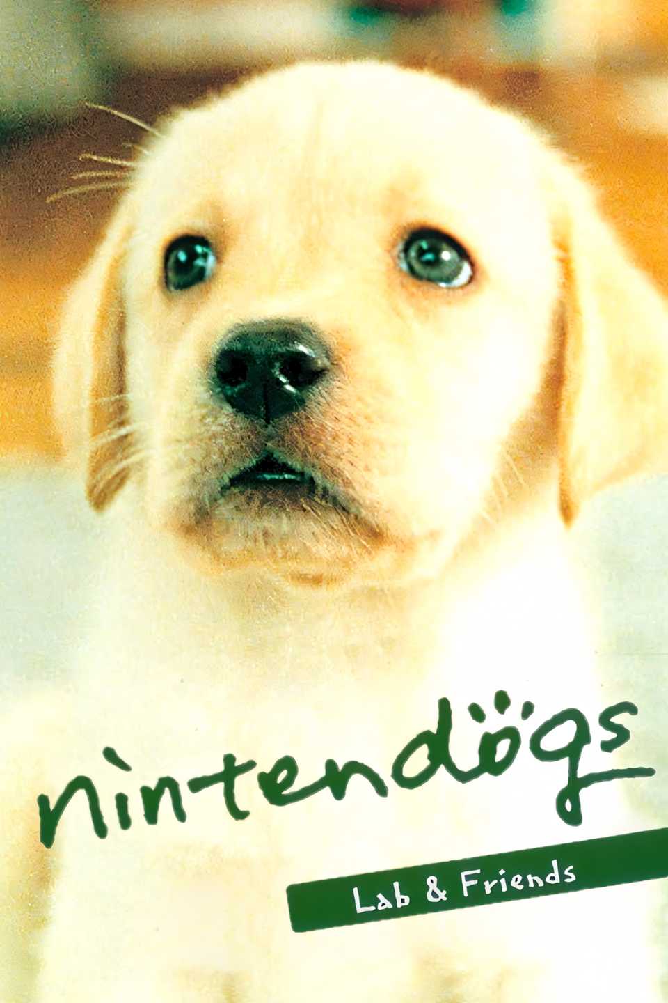 Nintendogs Merch 20 Years After I Raised My First Virtual Dog, I Still Feel Guilty for ...