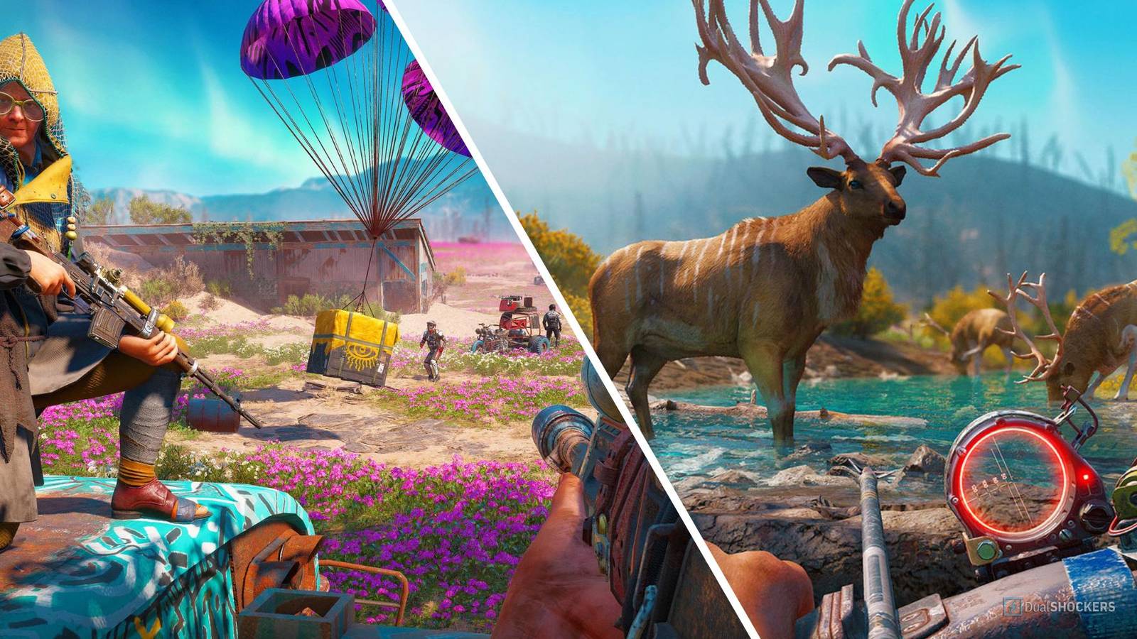 new dawn images