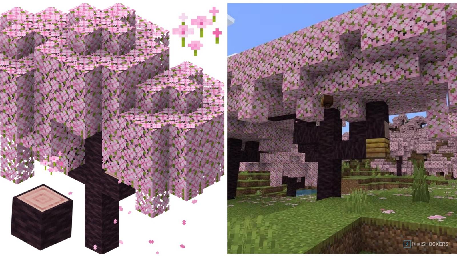 Minecraft: How To Use The Cherry Grove