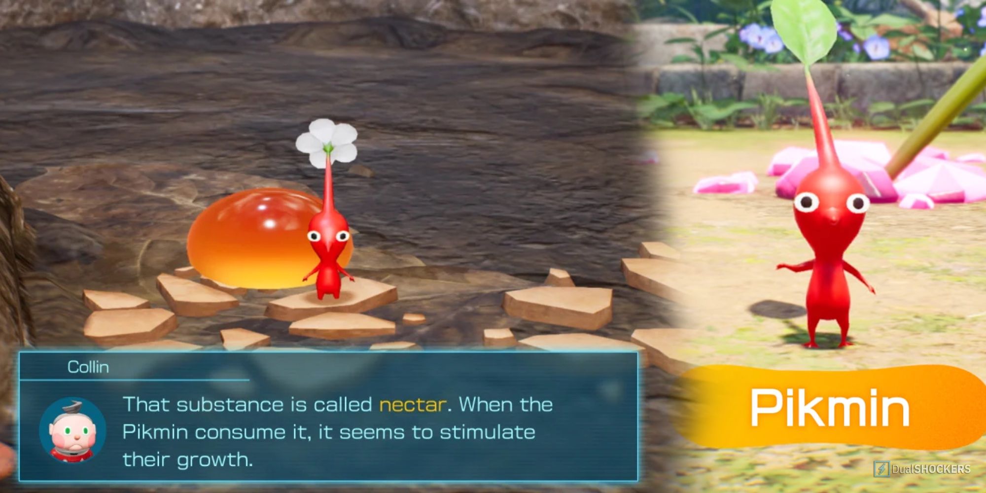 Pikmin 4 Nectar