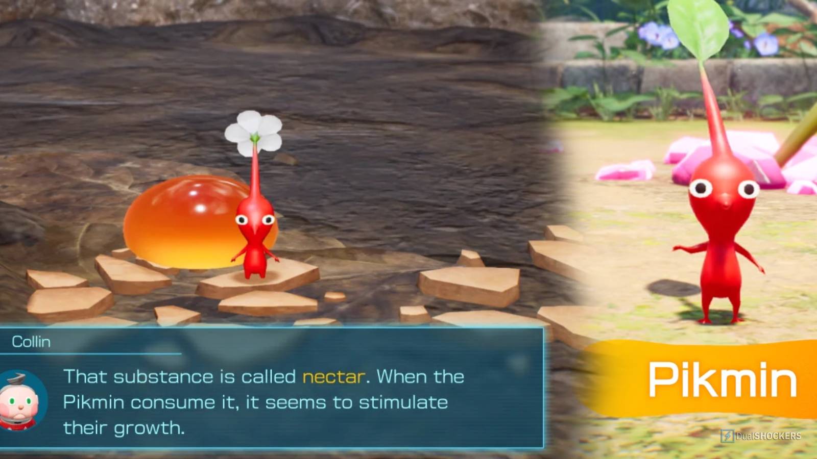 Pikmin 4 Nectar