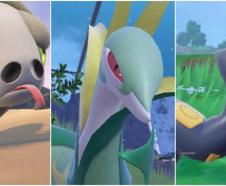 Silicobra Serperior Seviper Pokemon