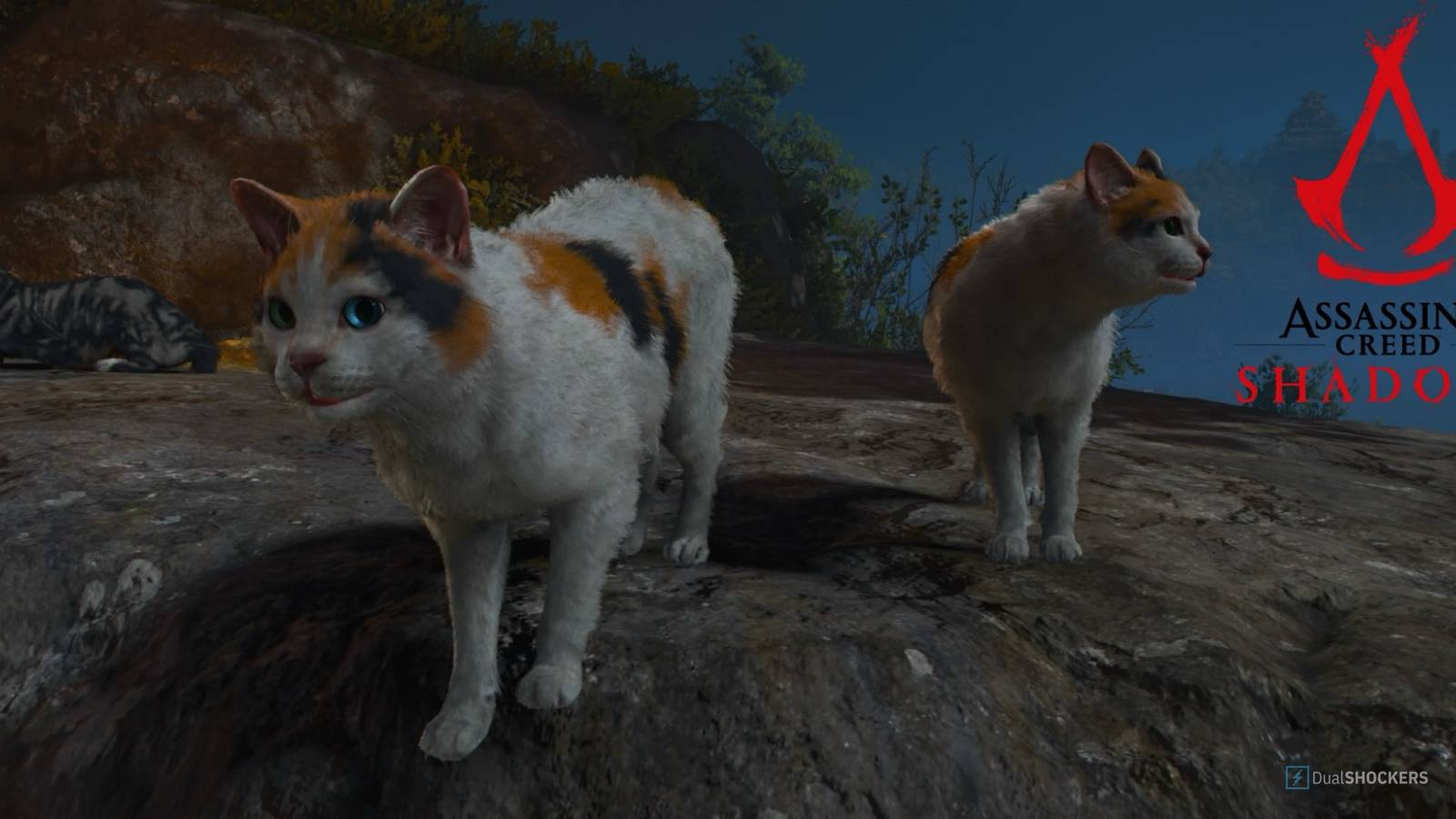 Assassin's Creed Shadows: How To Find The Cat Island, image size:1600x900