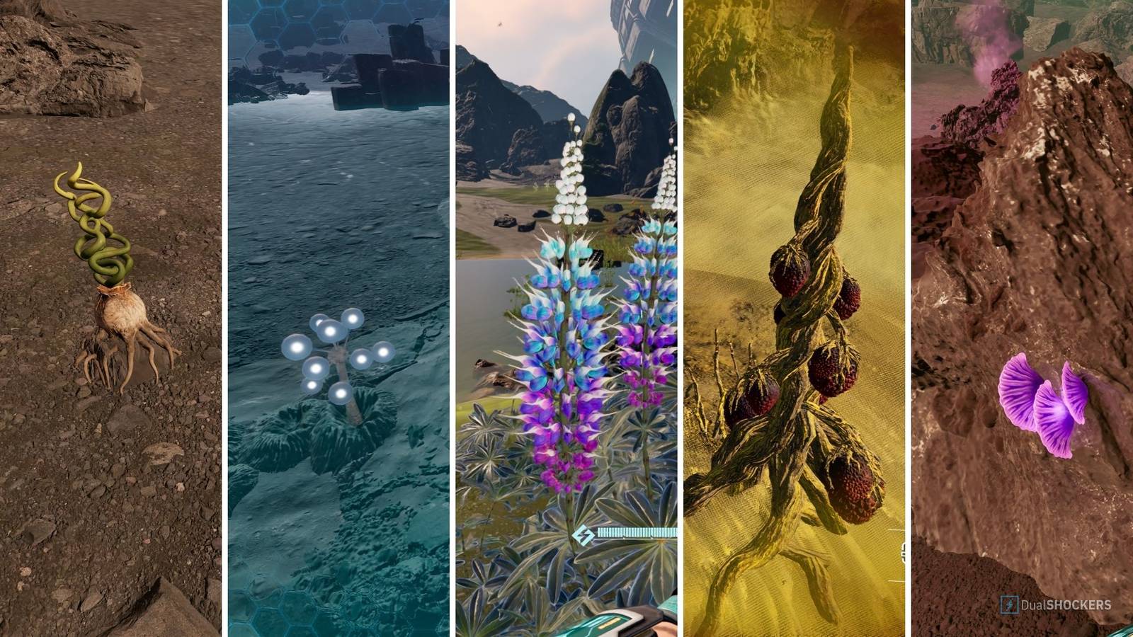 Where to Find Every Plant in StarRupture